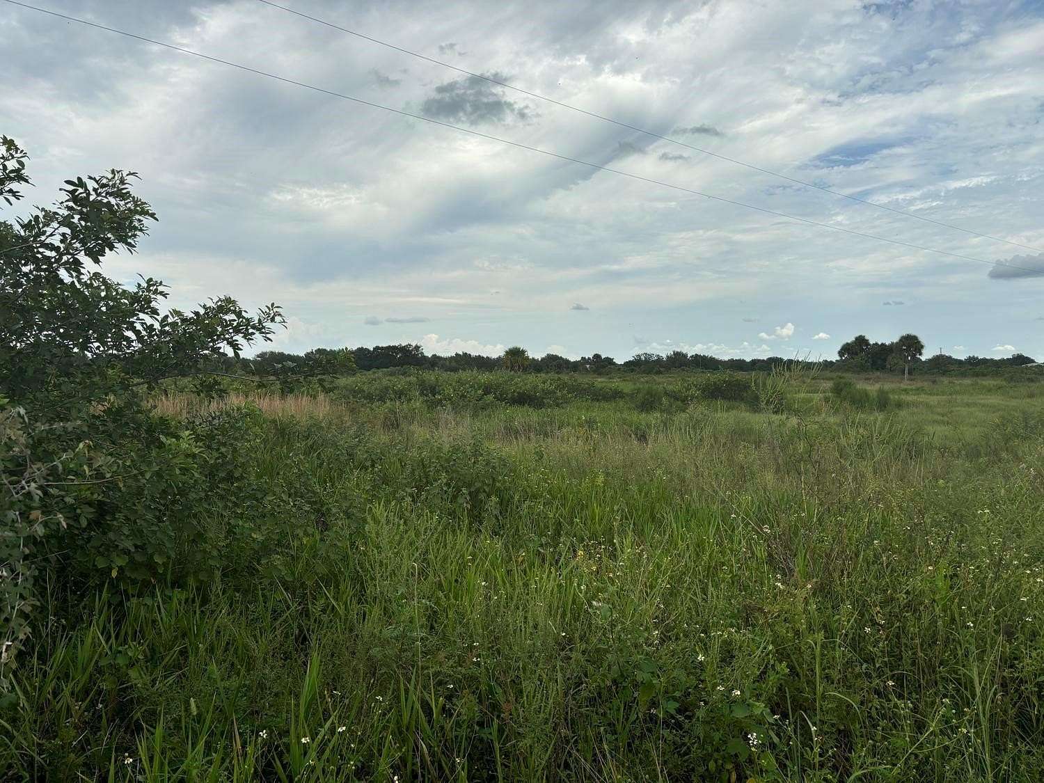 20 Acres of Agricultural Land for Sale in Okeechobee, Florida