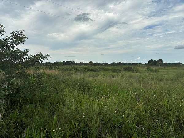20 Acres of Agricultural Land for Sale in Okeechobee, Florida