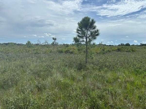 2.5 Acres of Land for Sale in Okeechobee, Florida