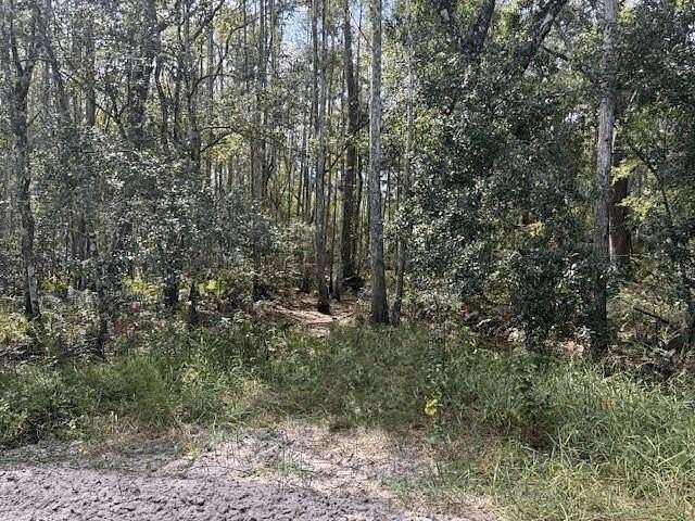 1.29 Acres of Land for Sale in Kathleen, Florida