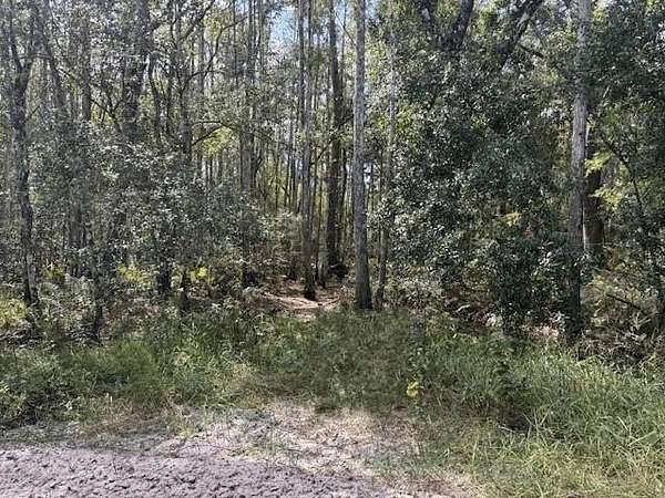1.29 Acres of Land for Sale in Kathleen, Florida