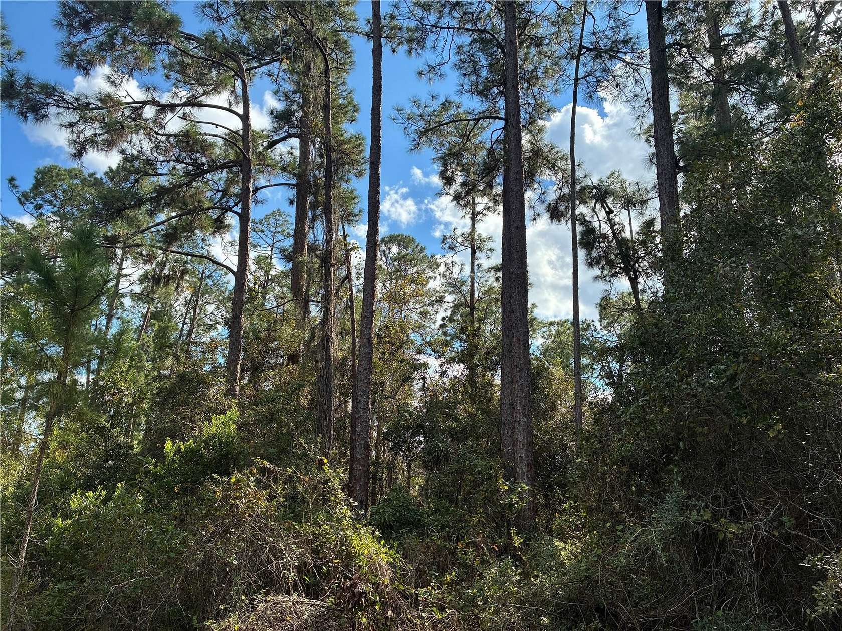 0.5 Acres of Residential Land for Sale in Indian Lake Estates, Florida