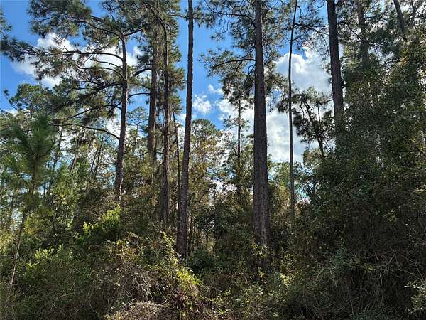 0.5 Acres of Residential Land for Sale in Indian Lake Estates, Florida