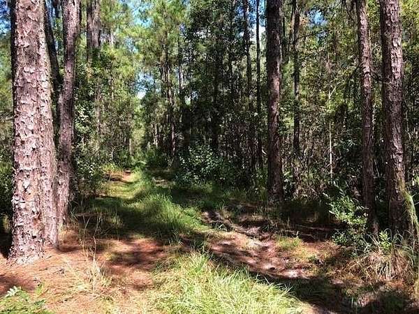 1 Acre of Land for Sale in Polk City, Florida