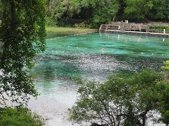 0.27 Acres of Residential Land for Sale in Ocala, Florida