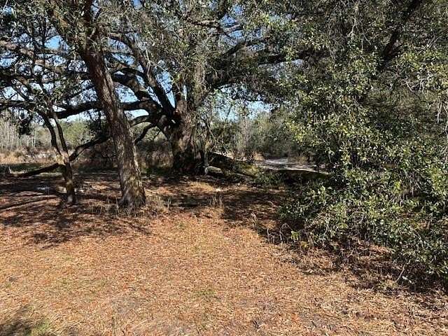 1.25 Acres of Land for Sale in Kathleen, Florida