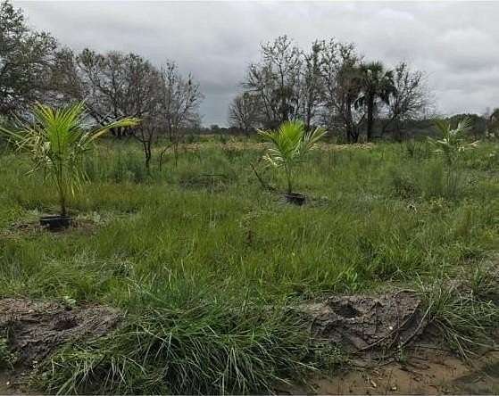 3.75 Acres of Residential Land for Sale in Okeechobee, Florida