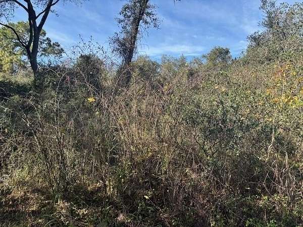 1.29 Acres of Land for Sale in Kathleen, Florida