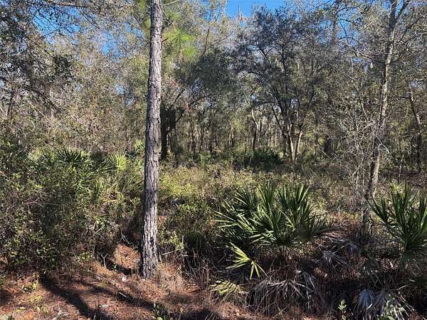 1.25 Acres of Land for Sale in Kathleen, Florida