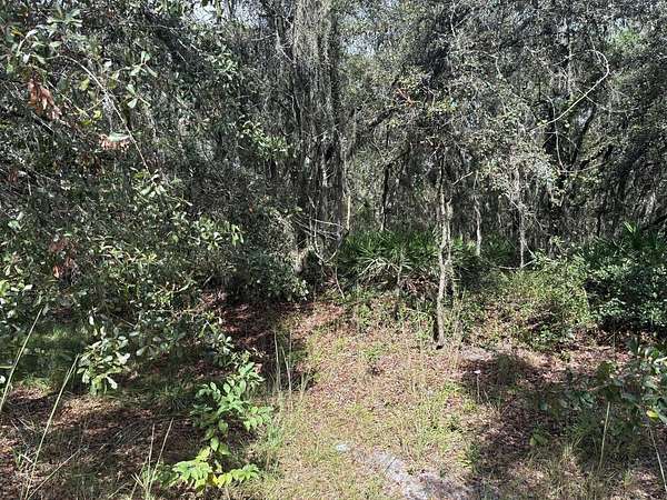 1.27 Acres of Land for Sale in Kathleen, Florida