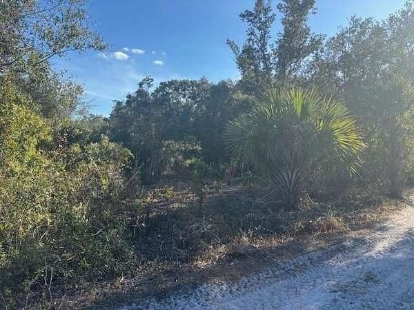 5 Acres of Land for Sale in Okeechobee, Florida