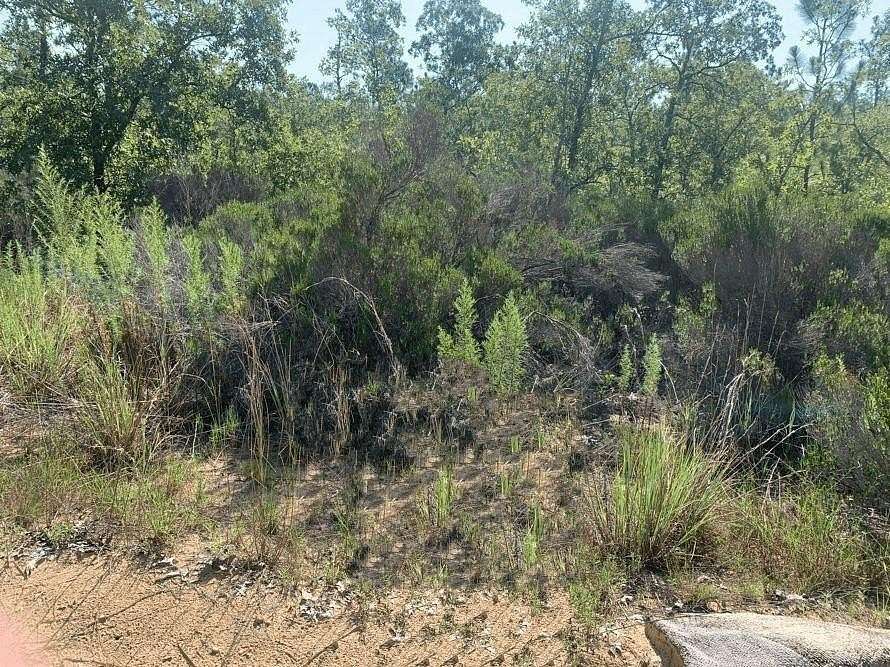 0.22 Acres of Residential Land for Sale in Interlachen, Florida