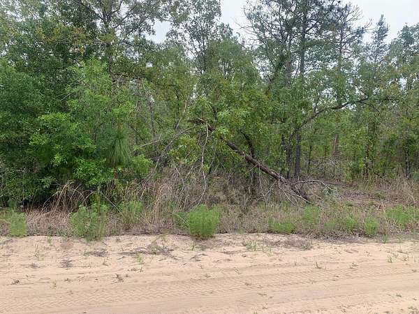0.22 Acres of Residential Land for Sale in Interlachen, Florida
