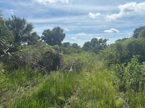 2.5 Acres of Land for Sale in Okeechobee, Florida