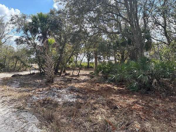 1.25 Acres of Land for Sale in Okeechobee, Florida