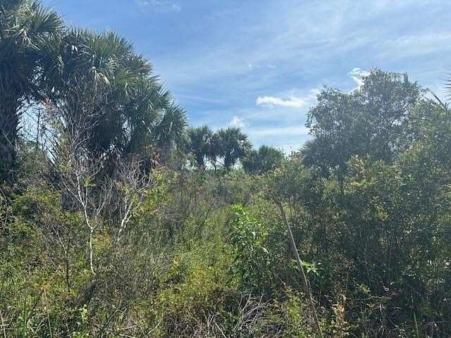 2.5 Acres of Land for Sale in Okeechobee, Florida