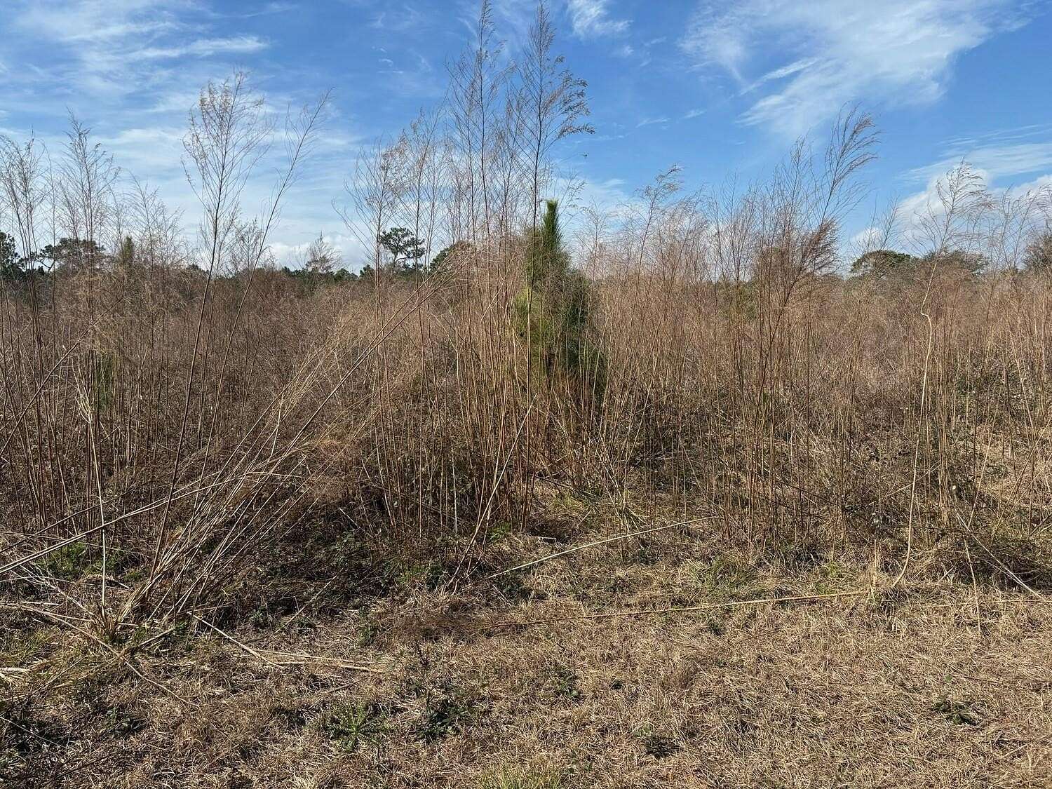 1 Acre of Land for Sale in Polk City, Florida