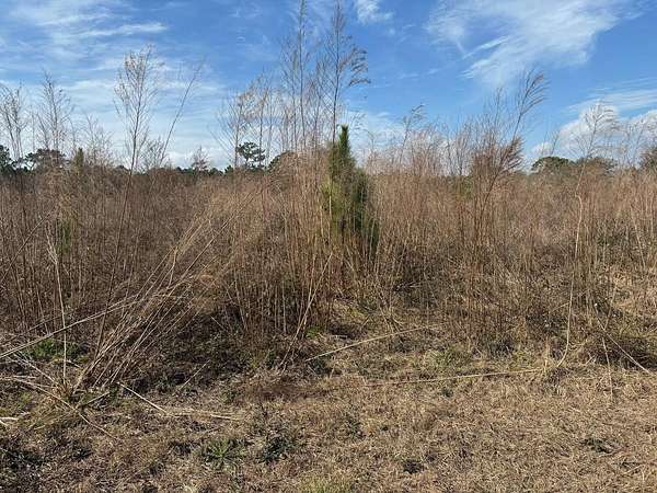 1 Acre of Land for Sale in Polk City, Florida