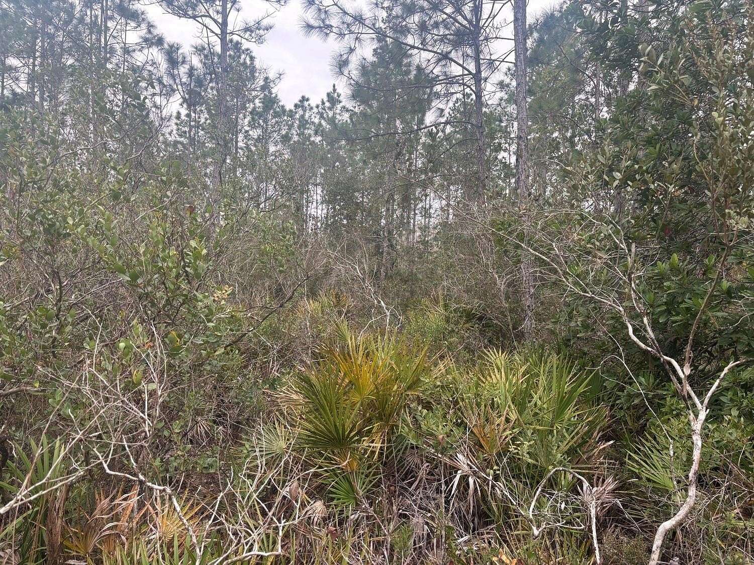 1 Acre of Land for Sale in Polk City, Florida