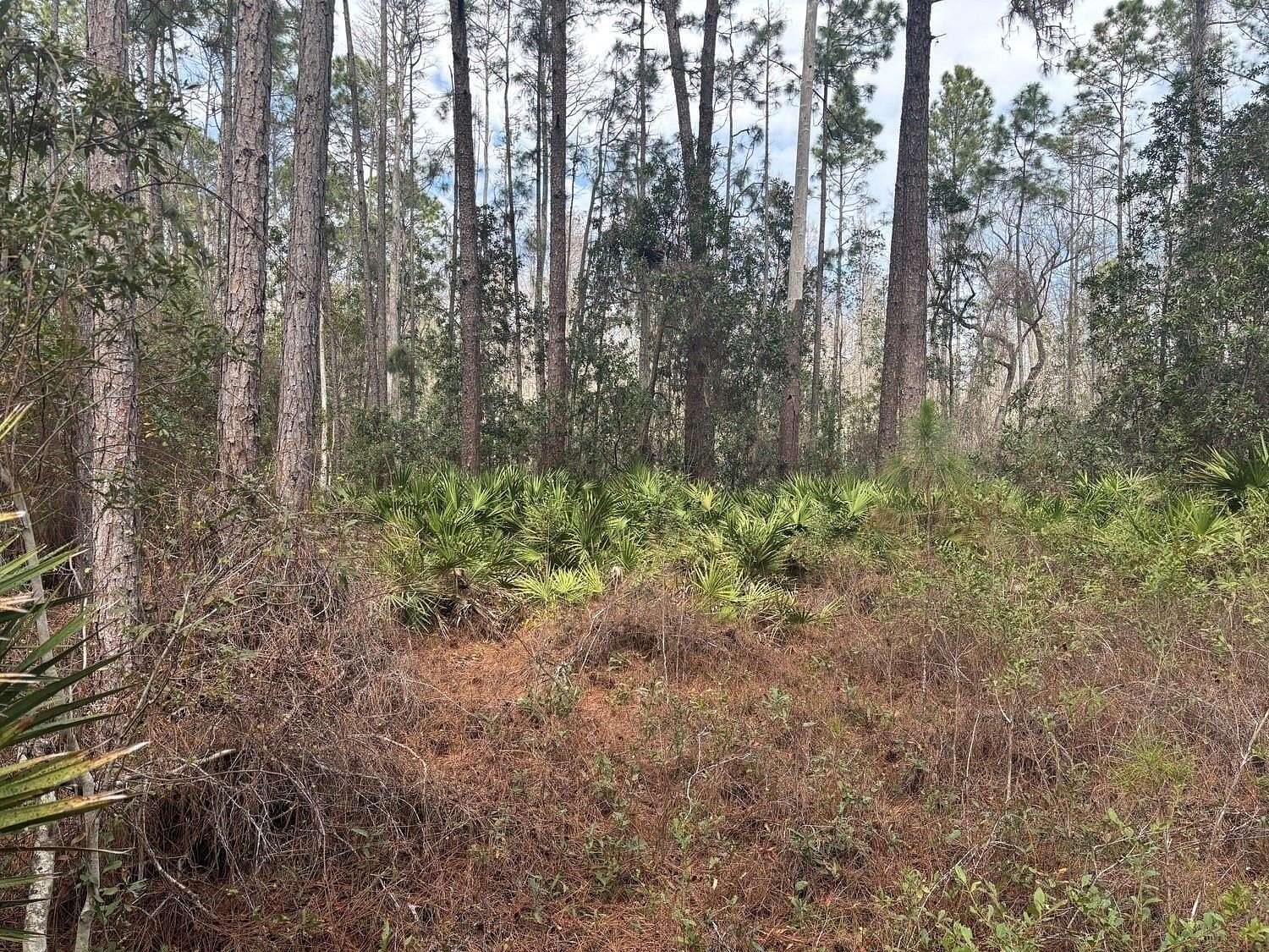2 Acres of Land for Sale in Polk City, Florida