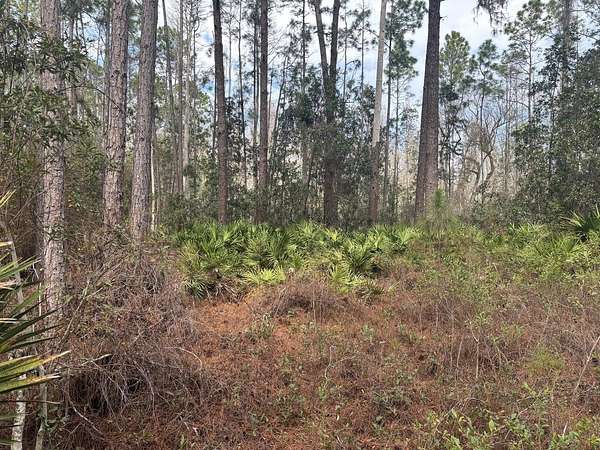 2 Acres of Land for Sale in Polk City, Florida