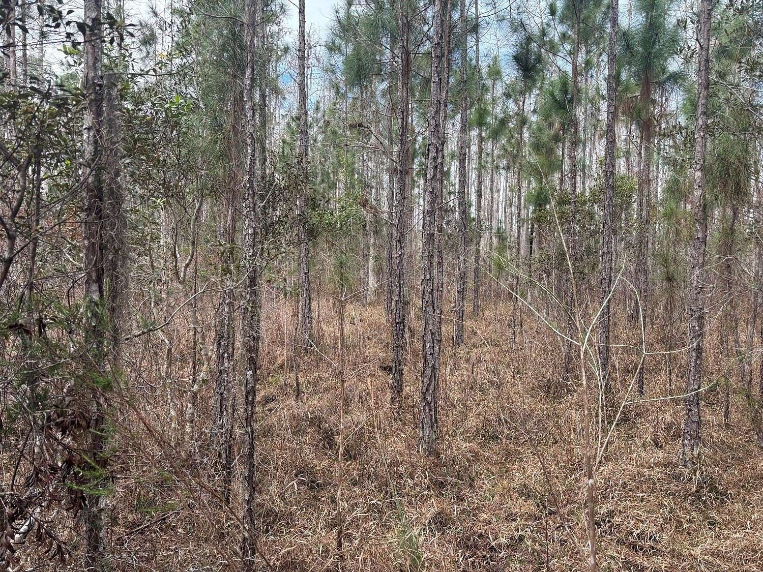 1 Acre of Land for Sale in Polk City, Florida