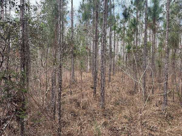 1 Acre of Land for Sale in Polk City, Florida