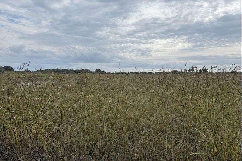 5 Acres of Land for Sale in Okeechobee, Florida