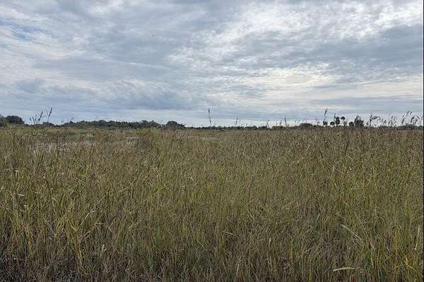 5 Acres of Land for Sale in Okeechobee, Florida