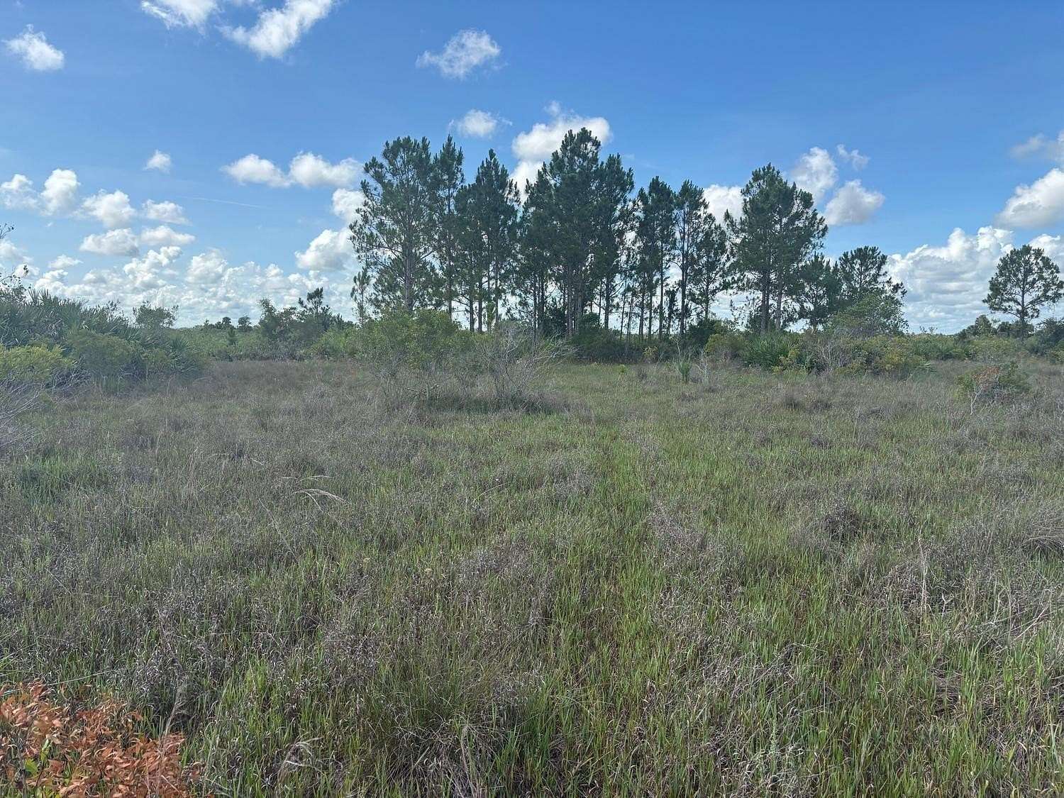 3 Acres of Land for Sale in Okeechobee, Florida