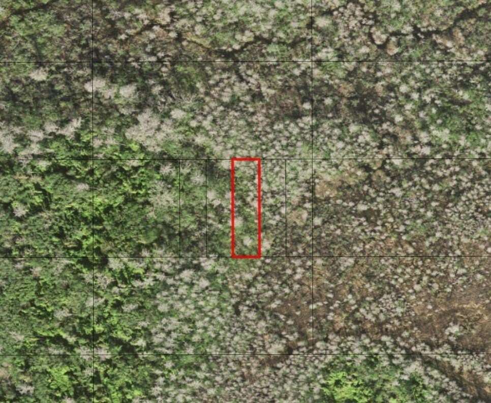 0.15 Acres of Land for Sale in St. Cloud, Florida