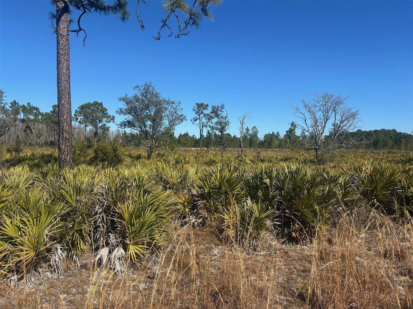 1.25 Acres of Land for Sale in Frostproof, Florida