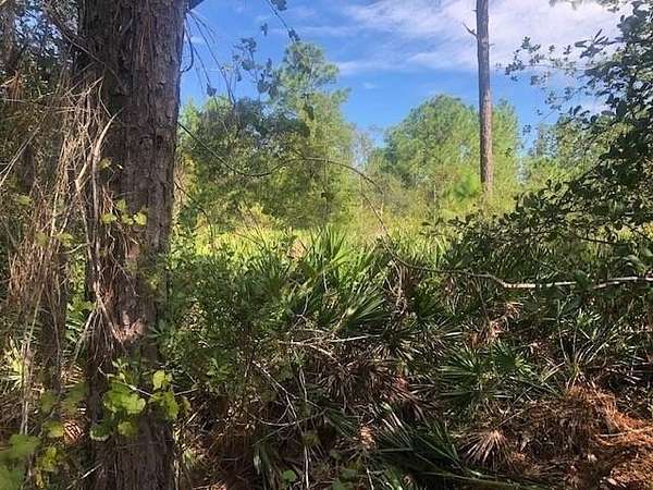 1 Acre of Land for Sale in Polk City, Florida
