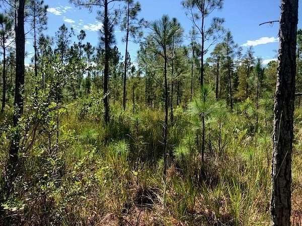 1 Acre of Land for Sale in Polk City, Florida
