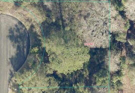 0.29 Acres of Residential Land for Sale in Ocala, Florida