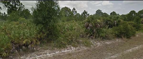 1.25 Acres of Residential Land for Sale in Clewiston, Florida