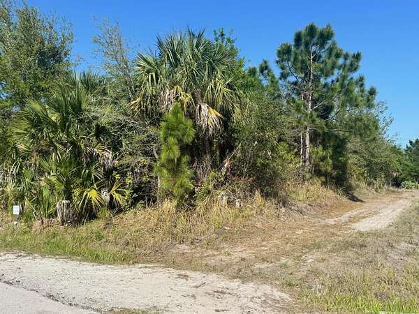 0.24 Acres of Residential Land for Sale in Palm Bay, Florida