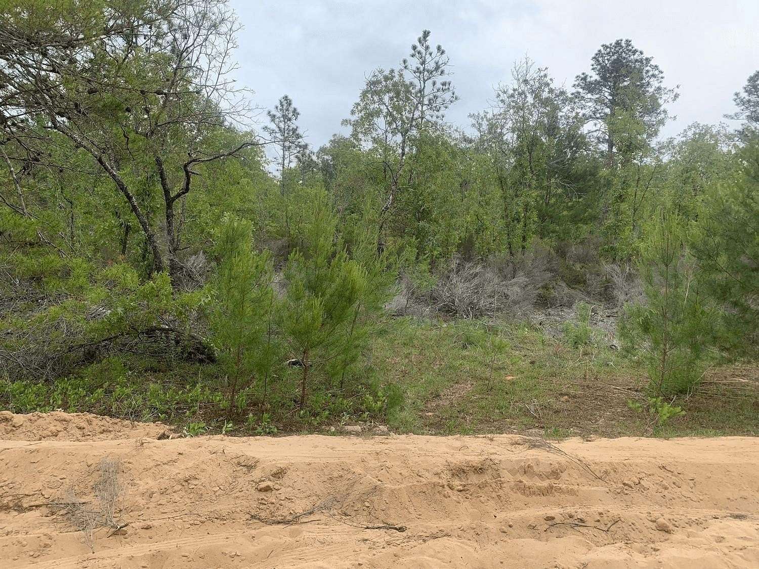 0.22 Acres of Residential Land for Sale in Interlachen, Florida