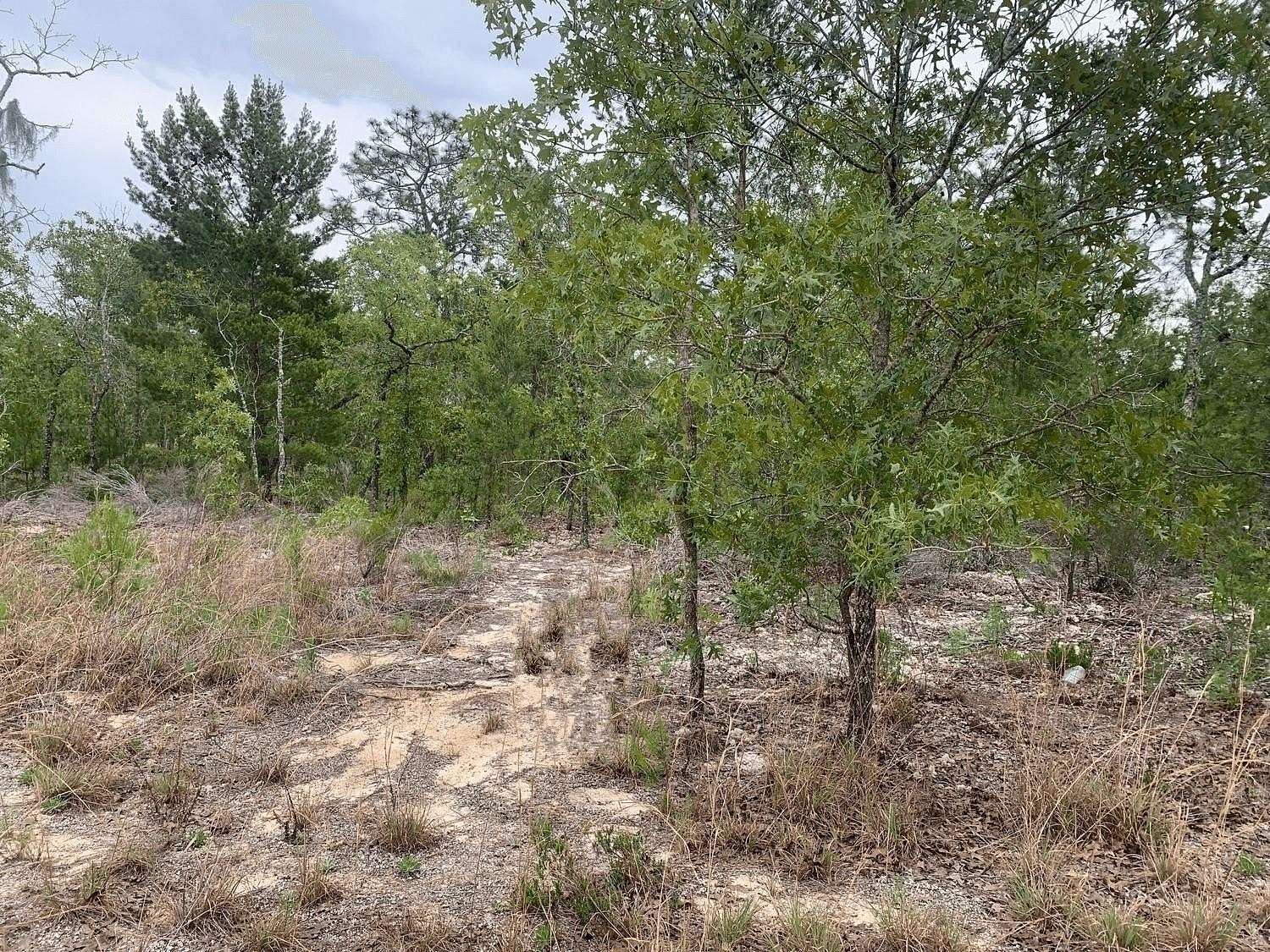 0.22 Acres of Residential Land for Sale in Interlachen, Florida