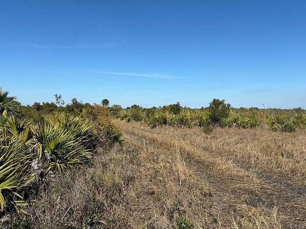 2.5 Acres of Land for Sale in Okeechobee, Florida