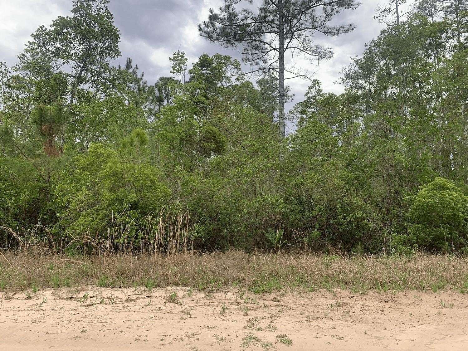 0.28 Acres of Residential Land for Sale in Interlachen, Florida