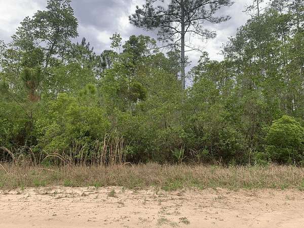0.28 Acres of Residential Land for Sale in Interlachen, Florida