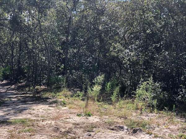 0.22 Acres of Residential Land for Sale in Interlachen, Florida