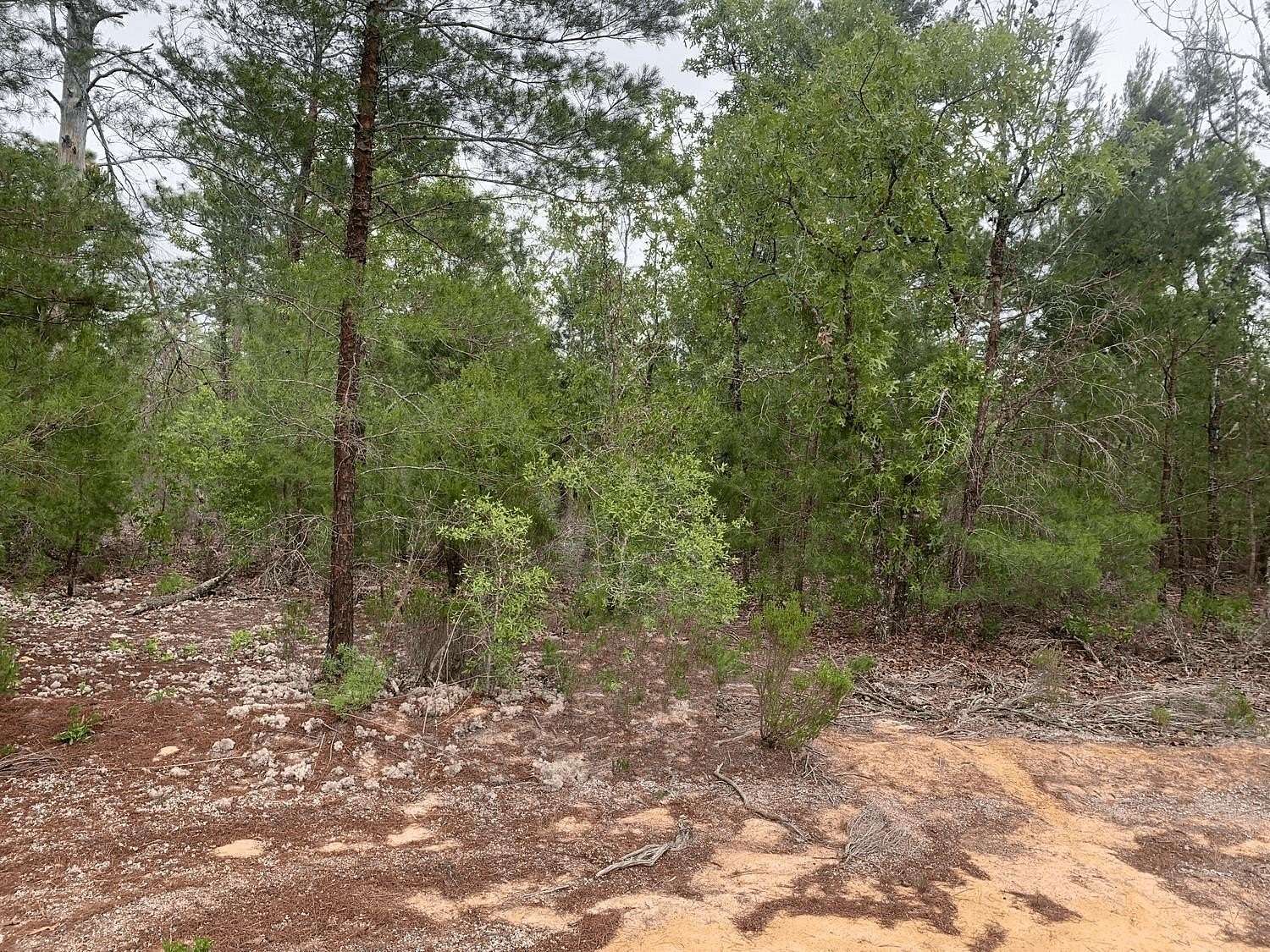 0.22 Acres of Residential Land for Sale in Interlachen, Florida