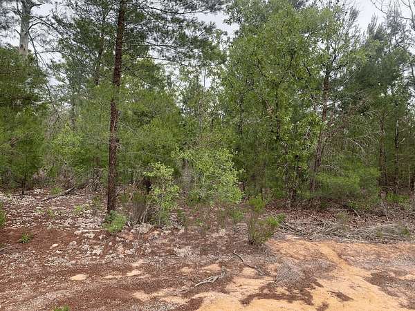 0.22 Acres of Residential Land for Sale in Interlachen, Florida