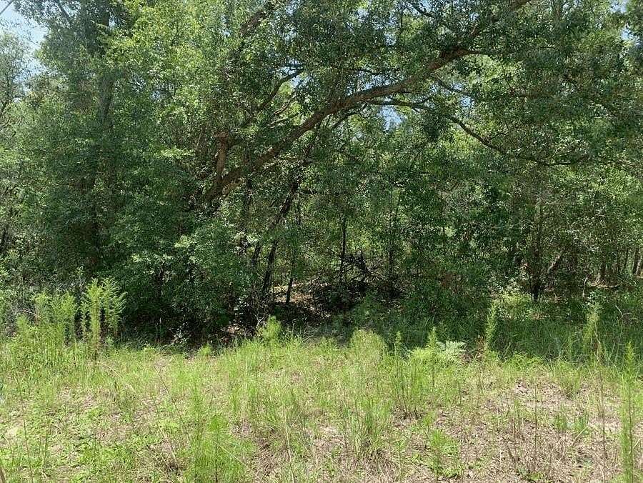 0.23 Acres of Residential Land for Sale in Satsuma, Florida