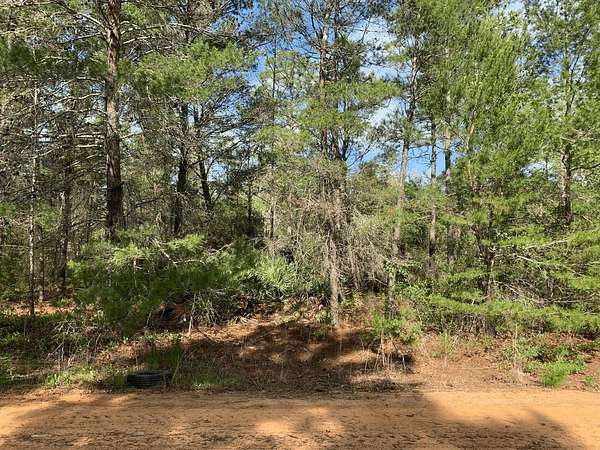 0.22 Acres of Residential Land for Sale in Interlachen, Florida