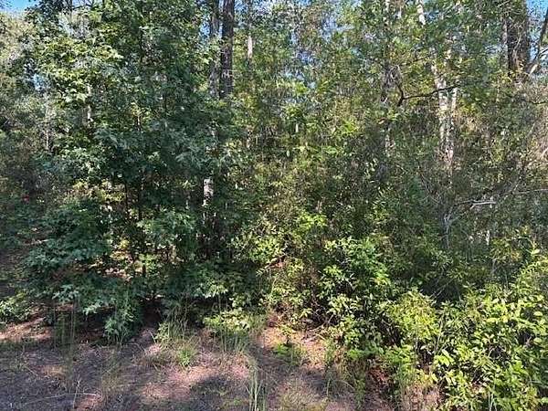 0.3 Acres of Residential Land for Sale in Palatka, Florida