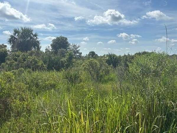 1.25 Acres of Land for Sale in Okeechobee, Florida