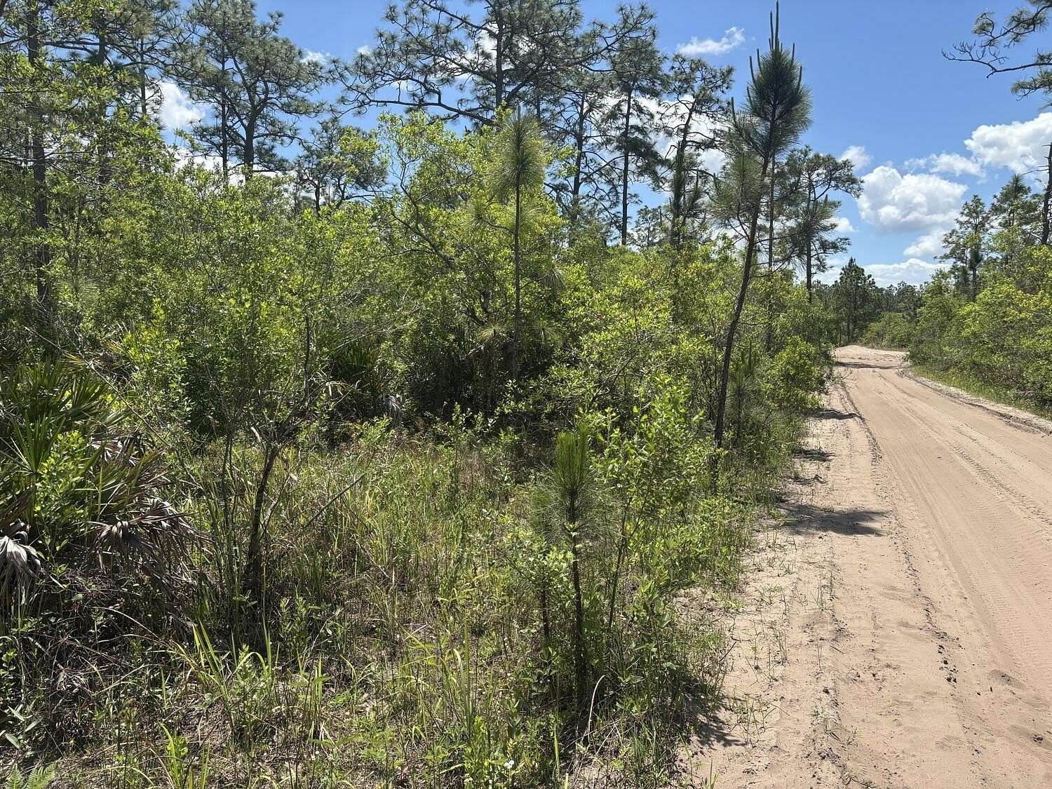 0.34 Acres of Land for Sale in St. Cloud, Florida